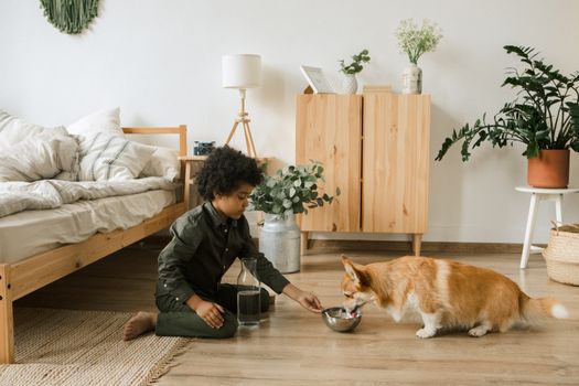 Child feeding a Corgi water in a cozy bedroom with plants and natural decor.